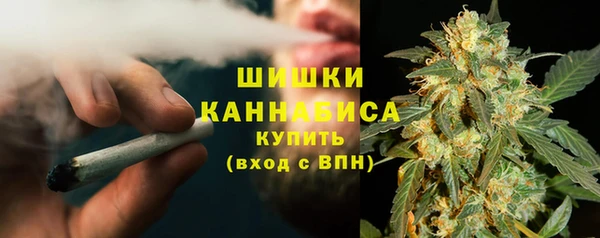 ПСИЛОЦИБИНОВЫЕ ГРИБЫ Саяногорск