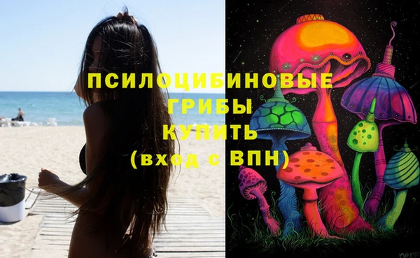 ПСИЛОЦИБИНОВЫЕ ГРИБЫ Саяногорск