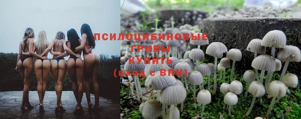 spice Сатка